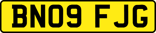BN09FJG