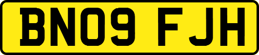 BN09FJH