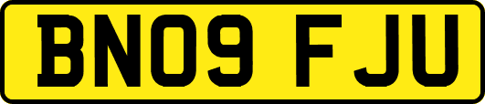 BN09FJU