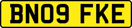BN09FKE