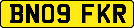 BN09FKR