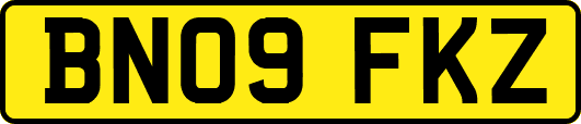 BN09FKZ