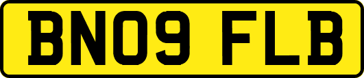 BN09FLB