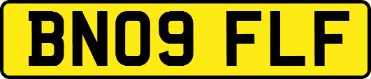 BN09FLF