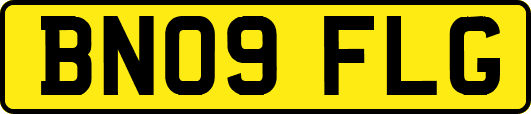 BN09FLG
