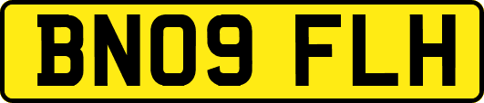 BN09FLH