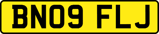 BN09FLJ
