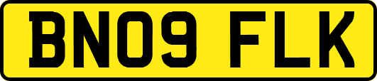 BN09FLK