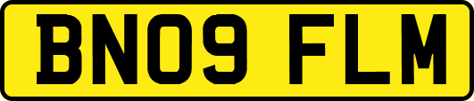 BN09FLM