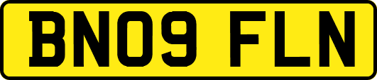 BN09FLN