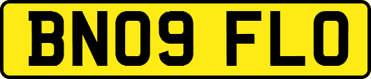 BN09FLO