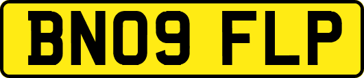 BN09FLP