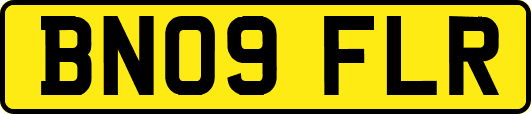 BN09FLR