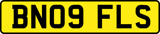 BN09FLS