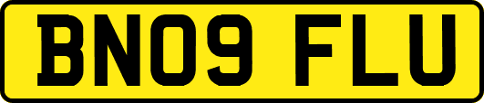 BN09FLU