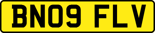 BN09FLV