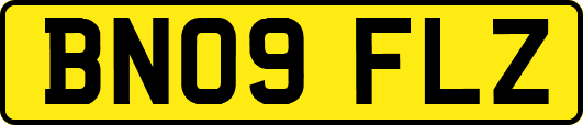 BN09FLZ