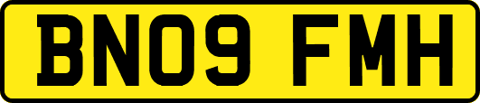 BN09FMH
