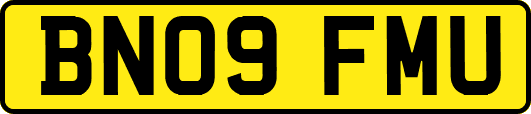 BN09FMU