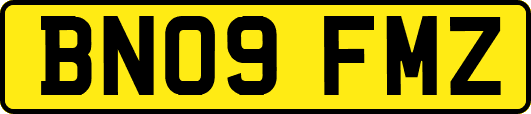 BN09FMZ