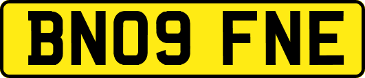 BN09FNE