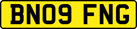 BN09FNG