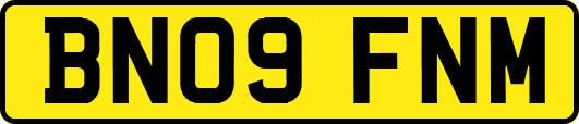 BN09FNM