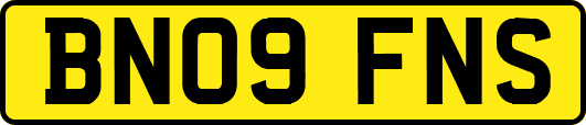 BN09FNS