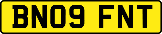 BN09FNT