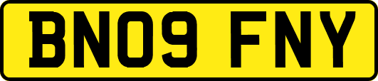 BN09FNY