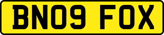 BN09FOX