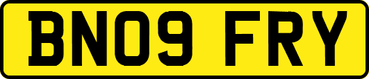 BN09FRY