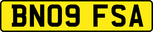 BN09FSA
