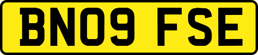 BN09FSE