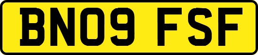 BN09FSF