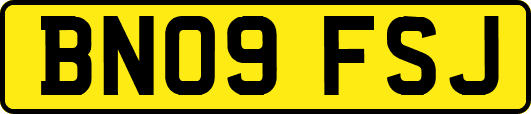 BN09FSJ