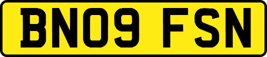 BN09FSN