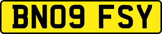 BN09FSY