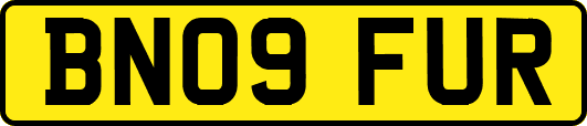 BN09FUR