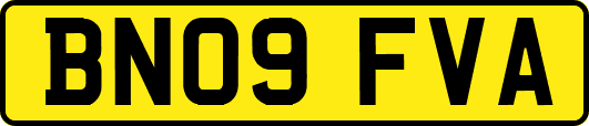 BN09FVA