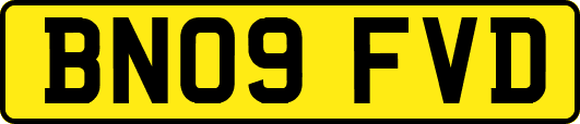 BN09FVD