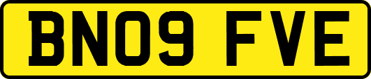 BN09FVE