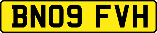 BN09FVH