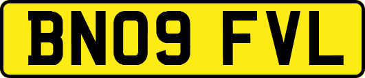 BN09FVL