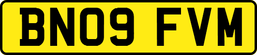 BN09FVM