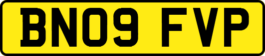 BN09FVP