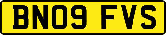 BN09FVS