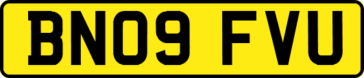 BN09FVU