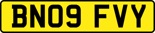 BN09FVY
