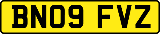 BN09FVZ